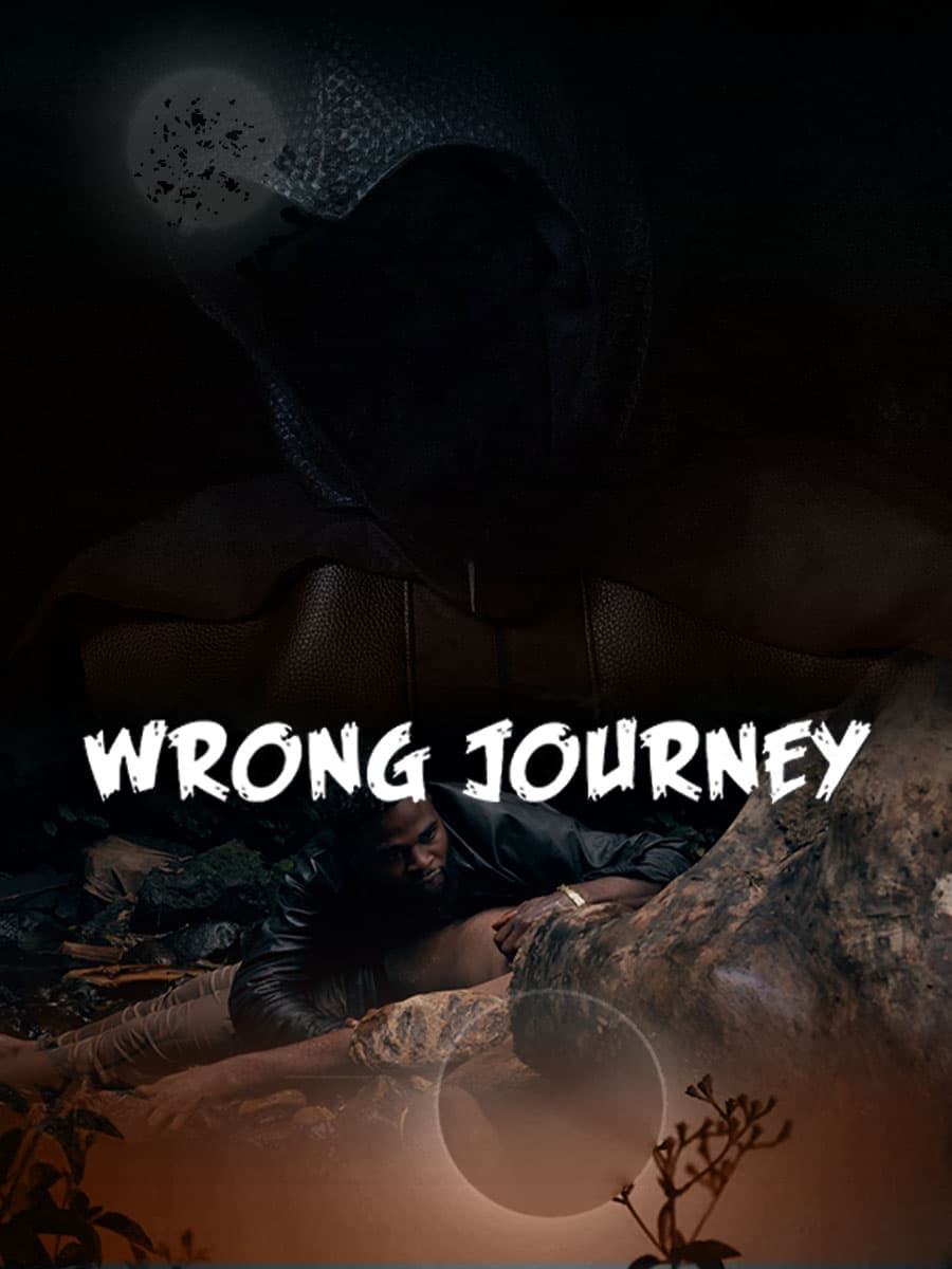 WRONG JOURNEY